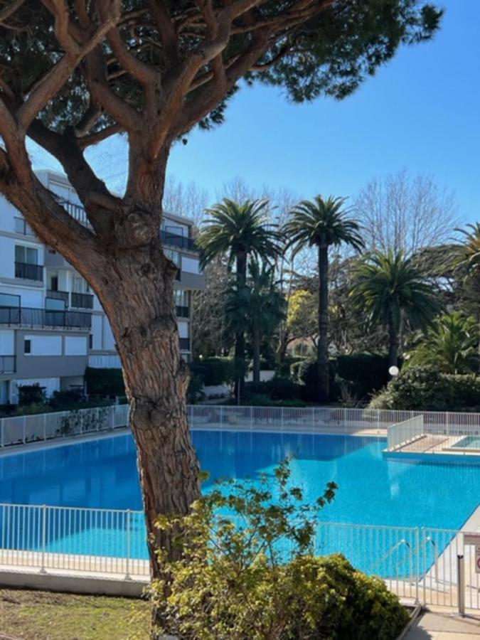 35M With Pool For Couple In Saint Tropez Lejlighed Eksteriør billede